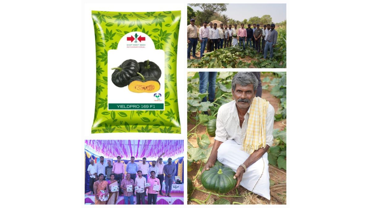 East-West Seed India Launches High-Yielding Hybrid Pumpkin, Yieldpro 169, Promising More Prosperity For Smallholder Farmers